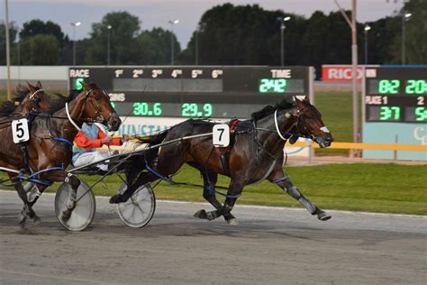 cambridge trots results|Cambridge Raceway .